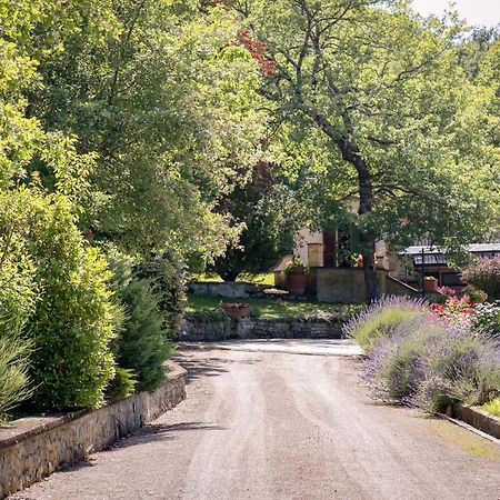 Villa Il Giardino delle Giare Castiglion Fiorentino Esterno foto